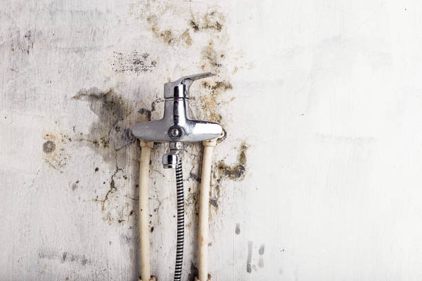 Best Office Mold Removal Services  in North Richmond, CA