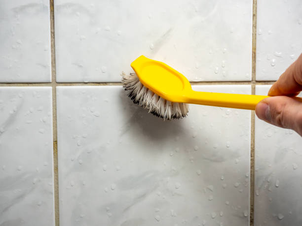 Best Mold Cleaning Services  in North Richmond, CA
