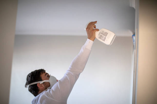 Best Toxic Mold Removal  in North Richmond, CA