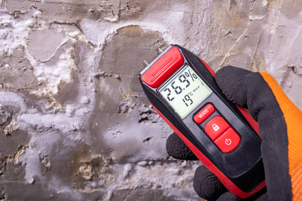 Best Mold Testing  in North Richmond, CA