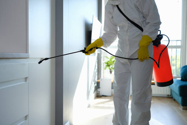 Best Emergency Mold Removal  in North Richmond, CA