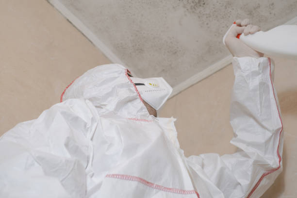 Best Mold Testing  in North Richmond, CA
